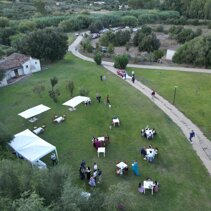 whatsapp image 2025-11-01 at 14 whatsapp image 2025-11-01 at 14